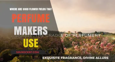 Scents of Nature: Discovering Global Flower Fields for Perfumery