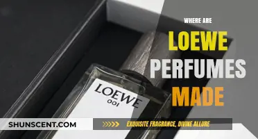 Discovering the Origins: Where Are Loewe Perfumes Crafted?