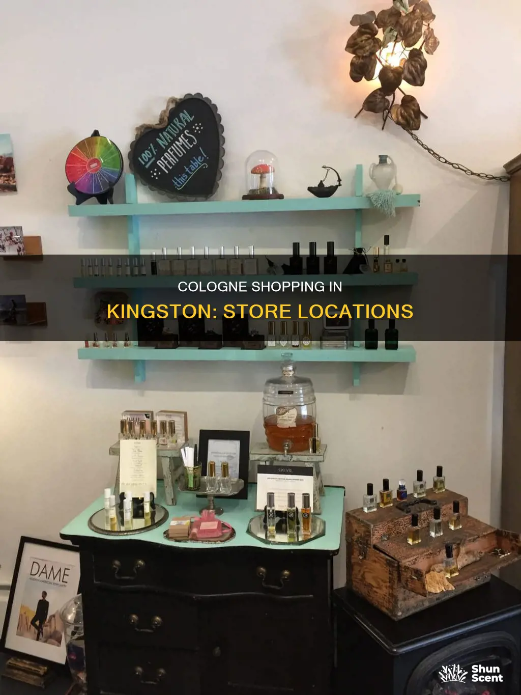 where are the cologne store located in kingston jamaica