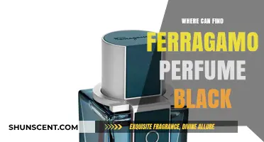 Explore the Black Ferragamo Perfume Universe