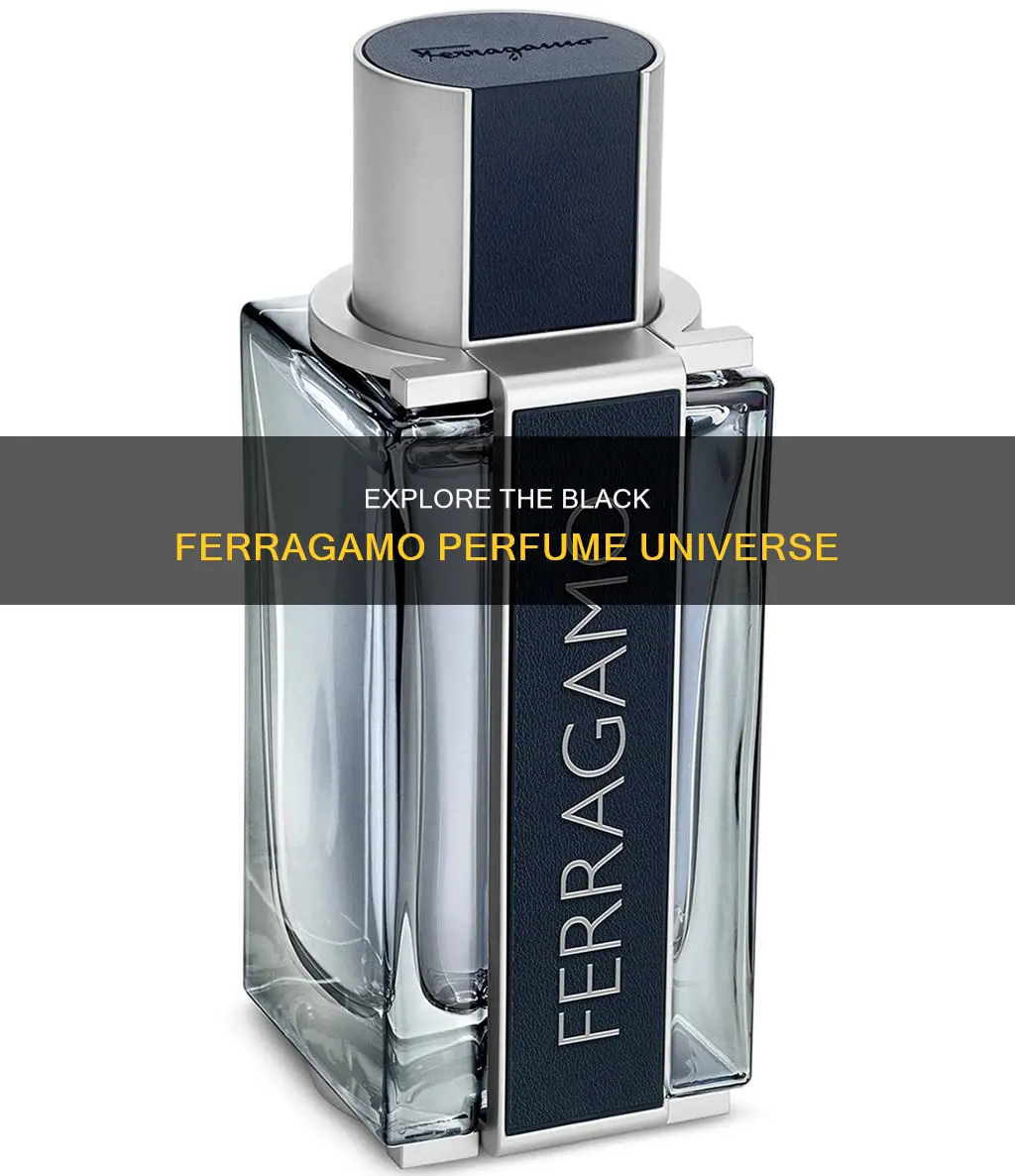 where can find ferragamo perfume black