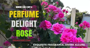 Find the Perfect Perfume Delight Rose: Where to Buy?