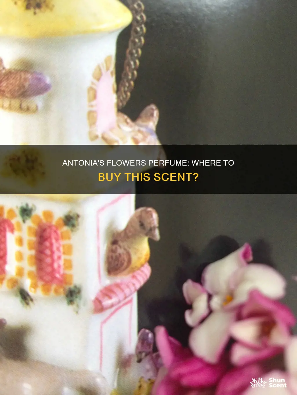 where can i buy antonia