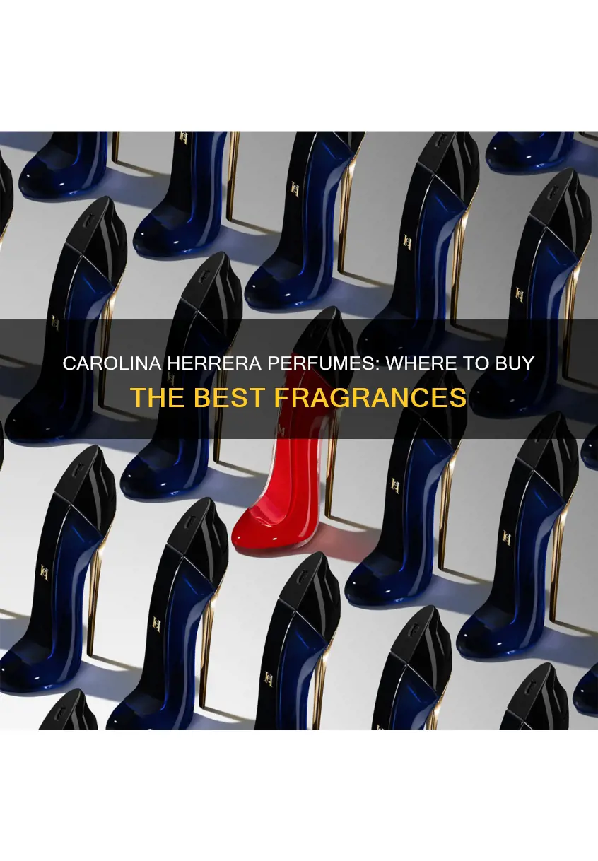where can i buy basic carolina herrera ladies perfume