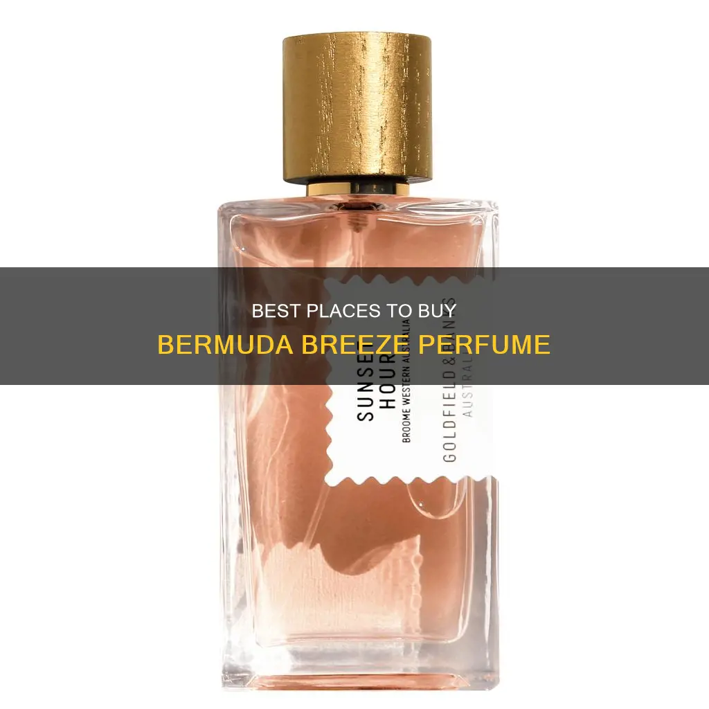 where can i buy bermuda breeze perfume