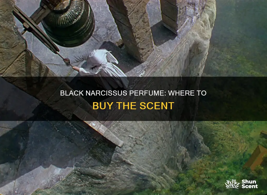 where can i buy black narcissus perfume