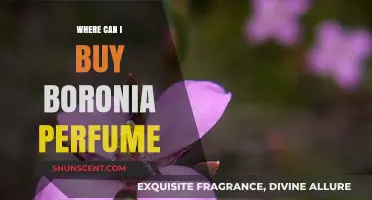 Boronia Perfume: Where to Buy the Best Scents