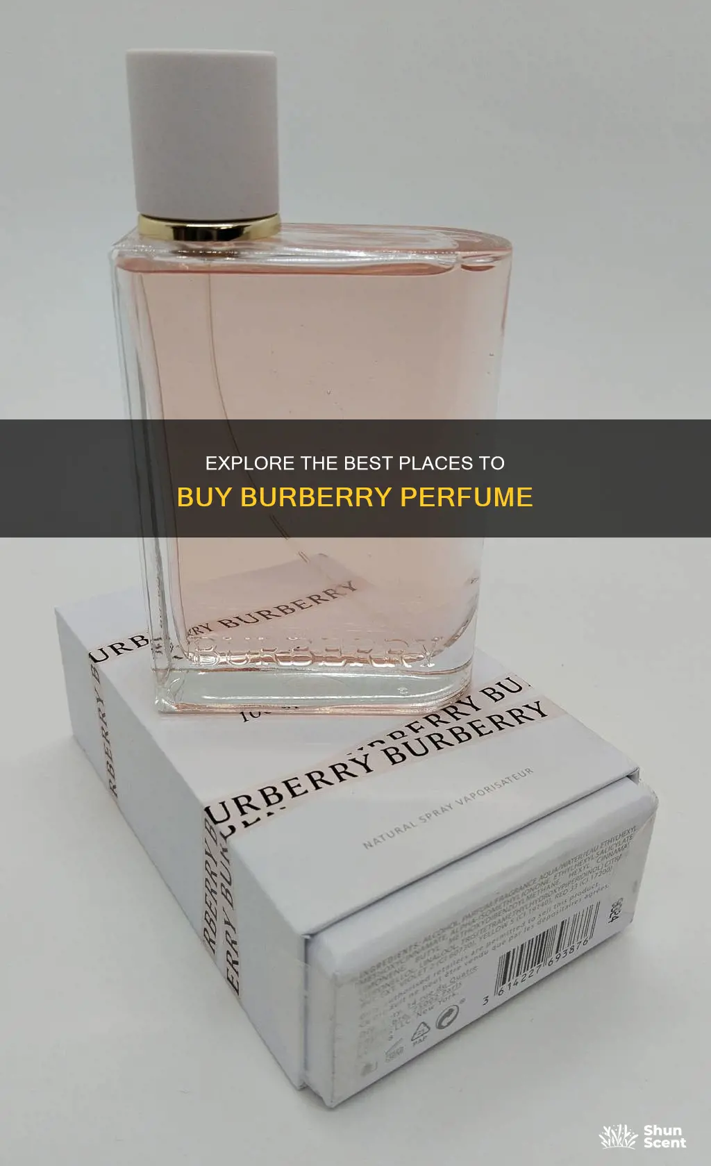 where can i buy burberry perfume