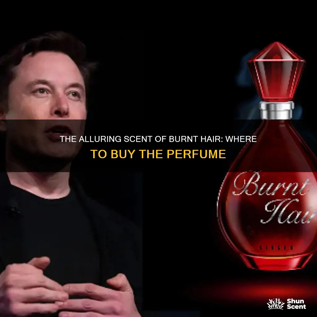 where can i buy burnt hair perfume