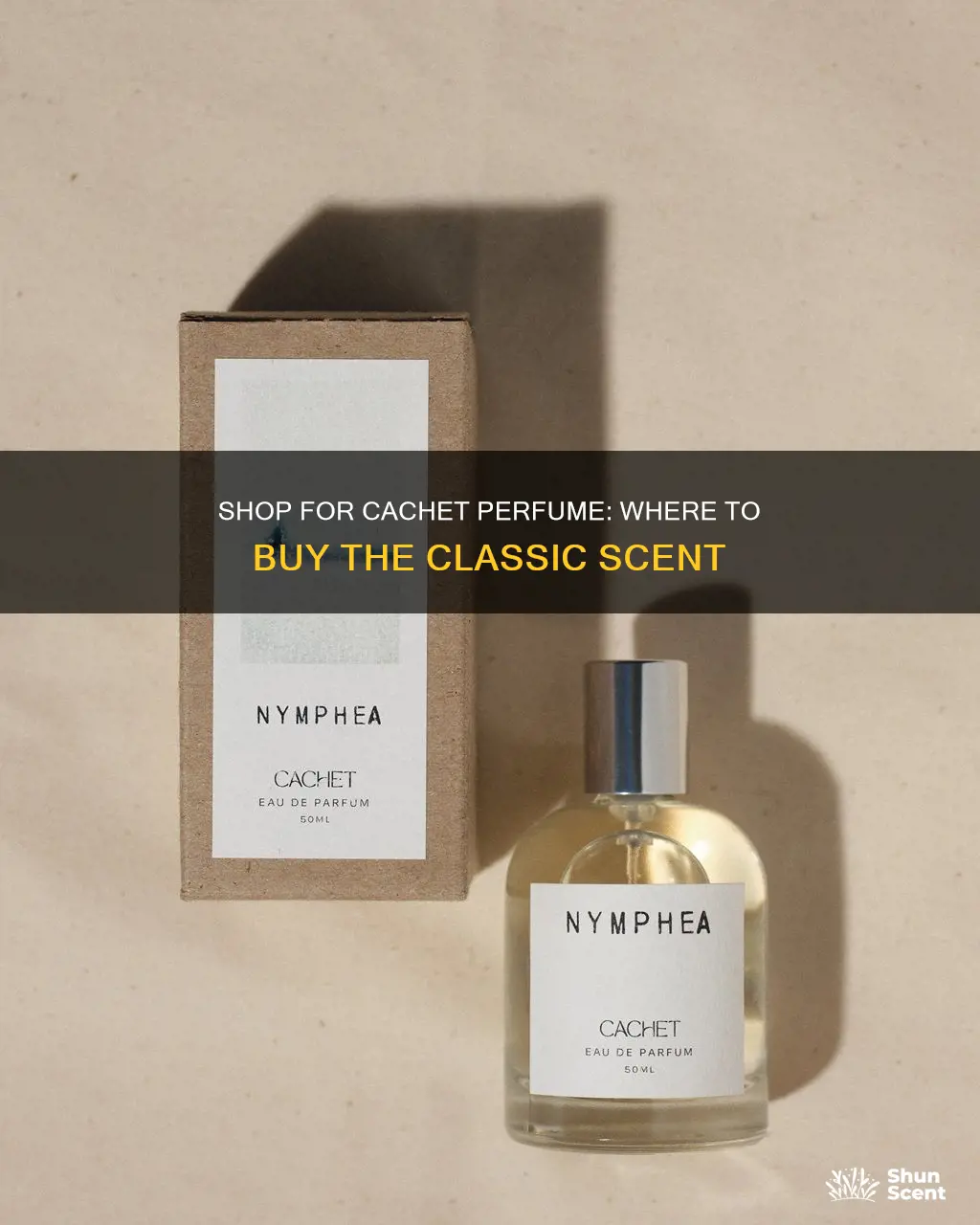 where can i buy cachet perfume