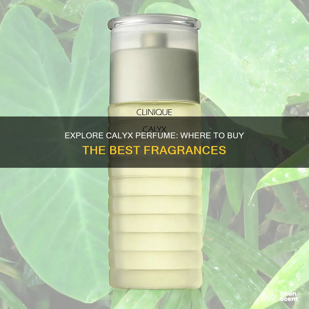 where can i buy calyx perfume