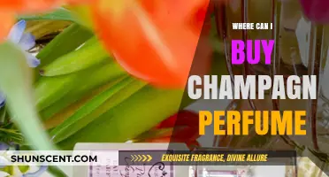 Champagne Perfume: Where to Buy the Scent