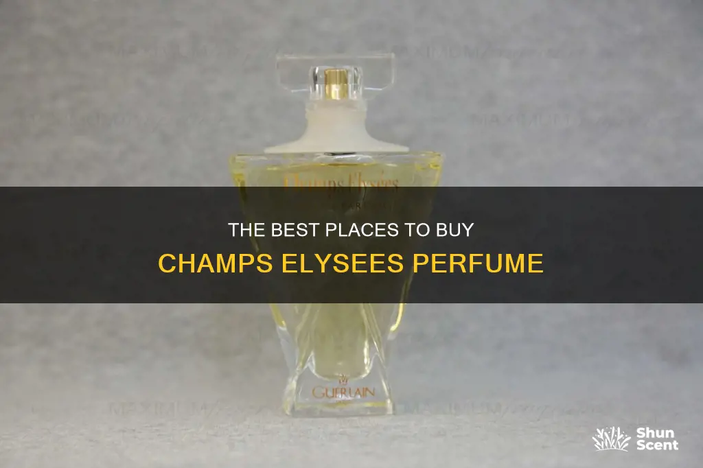 where can i buy champs elysees perfume