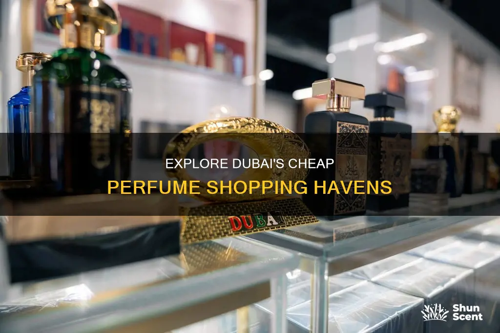 where can i buy cheap perfumes in dubai