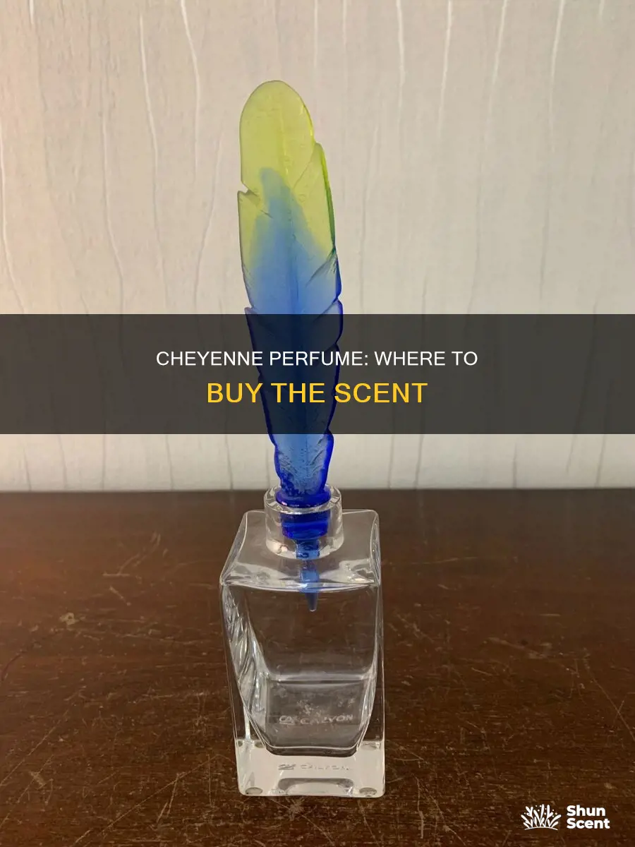 where can i buy cheyenne perfume