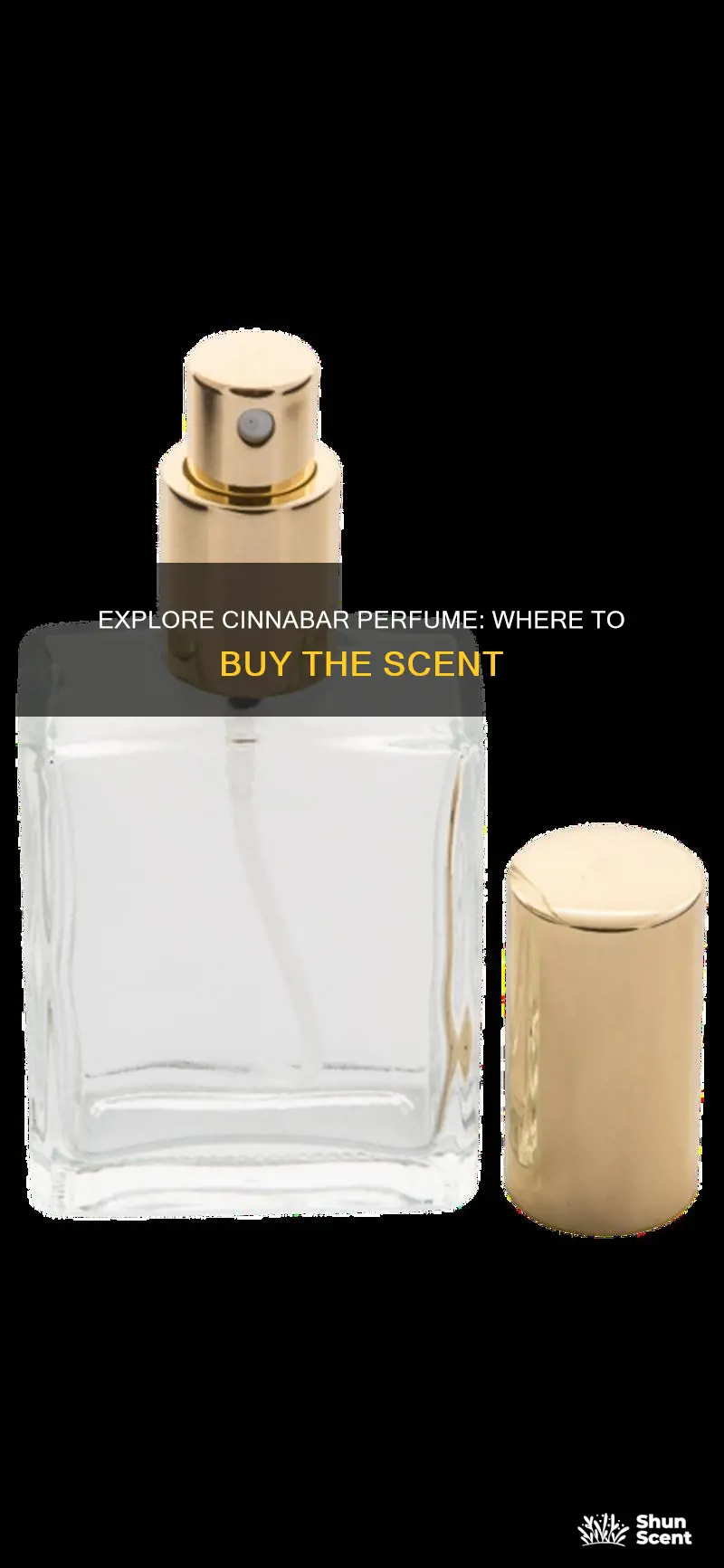 where can i buy cinnabar perfume