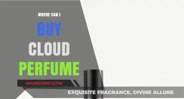Best Places to Buy Cloud Perfumes