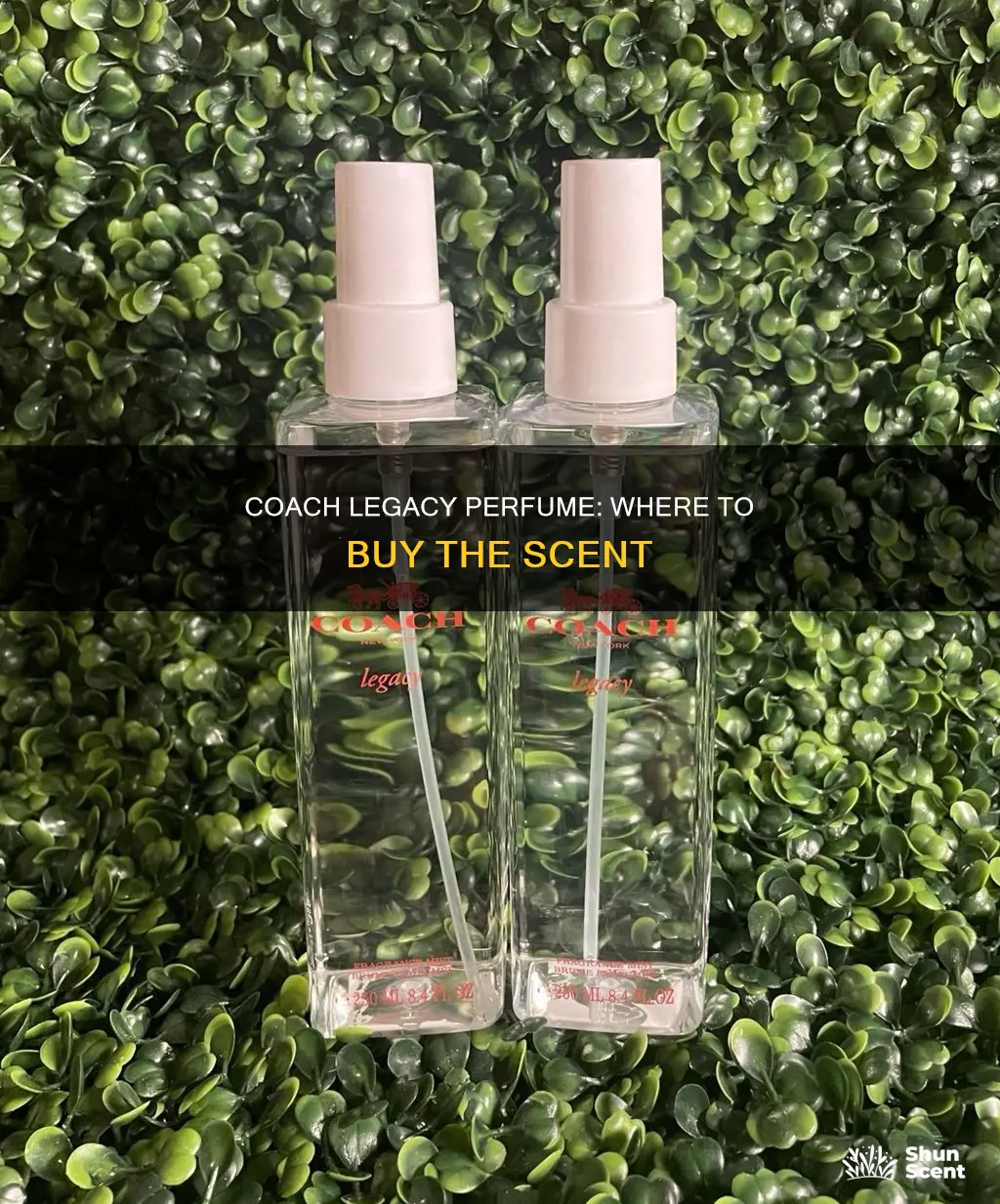 where can i buy coach legacy perfume
