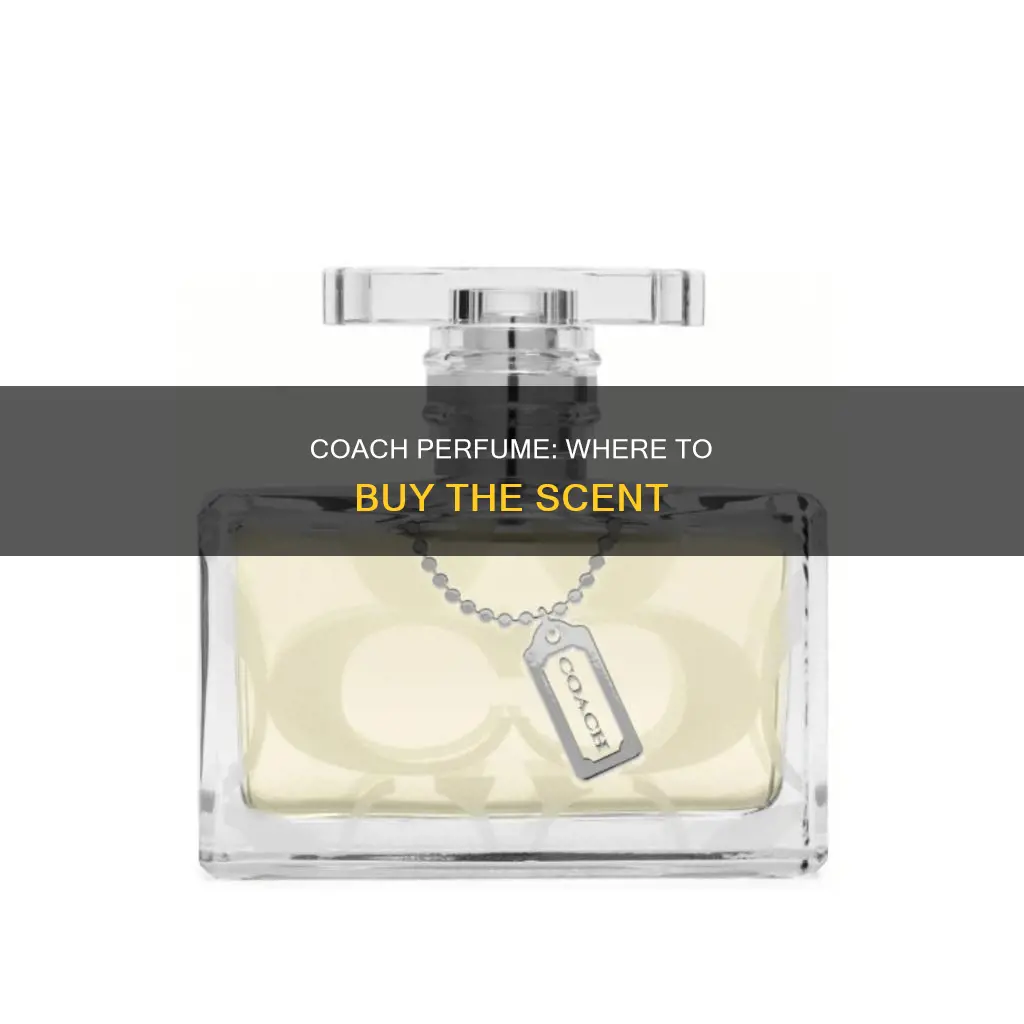 where can i buy coach perfume