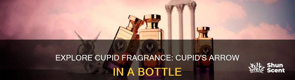 where can i buy cupid fragrance
