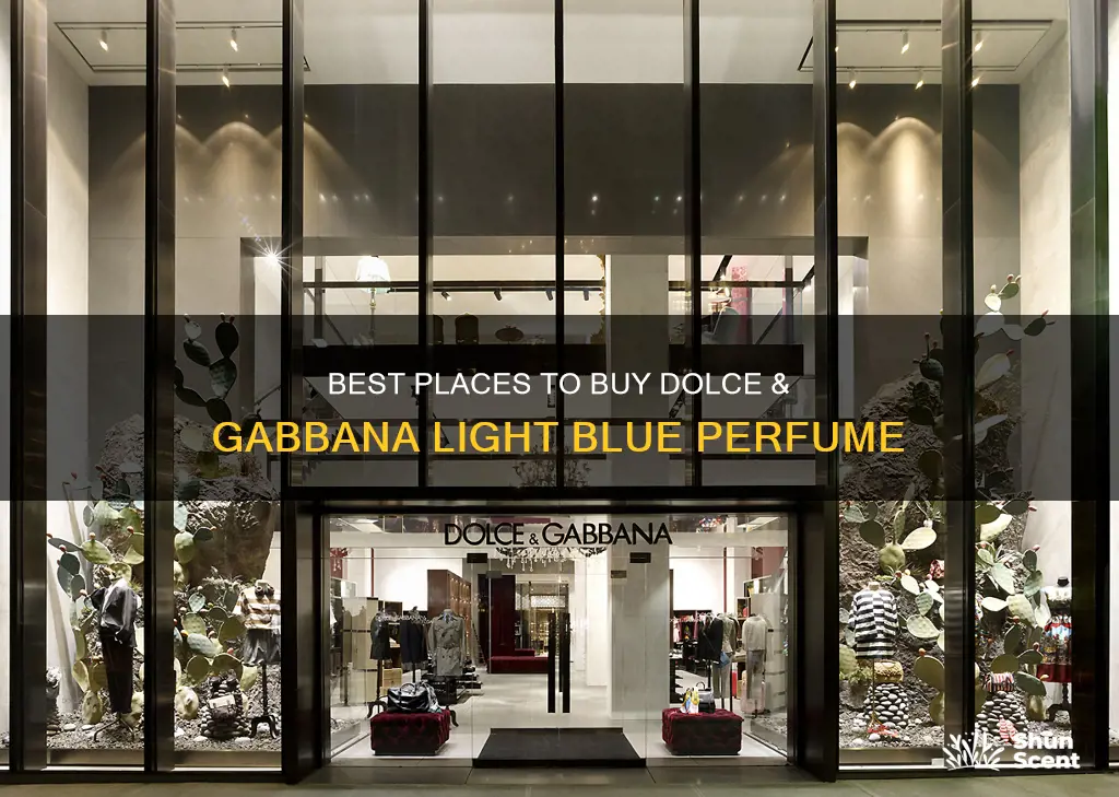 where can i buy dolce and gabbana light blue perfume