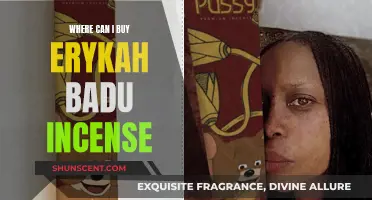Erykah Badu Incense: Where to Buy the Singer's Favorite Scents