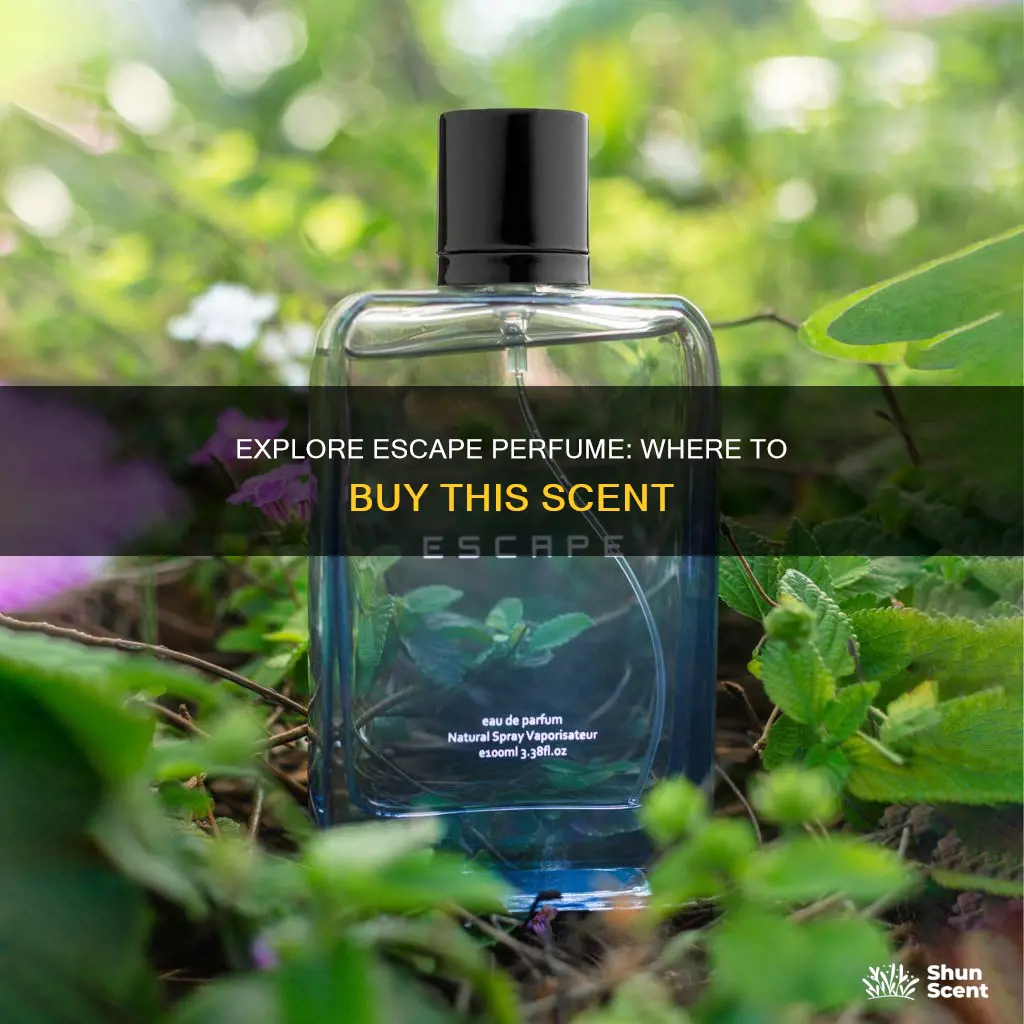 where can i buy escape perfume
