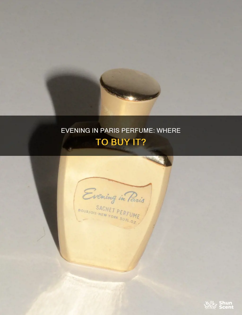 where can i buy evening in paris perfume