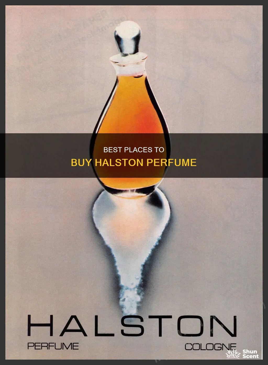where can i buy halston perfume