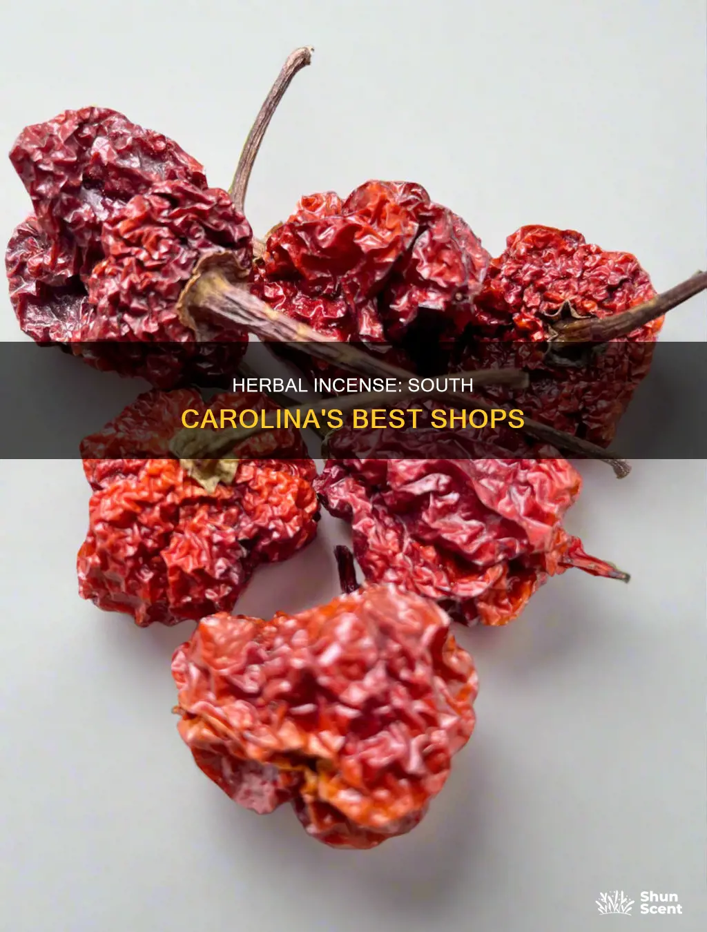 where can i buy herbal incense in south carolina