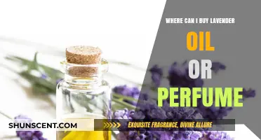 Lavender Oil and Perfume: Where to Buy?