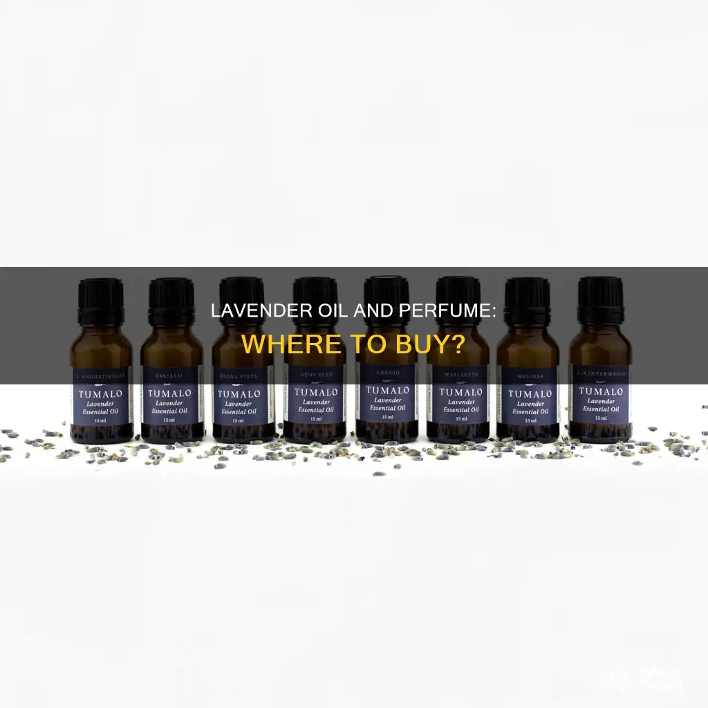 where can i buy lavender oil or perfume