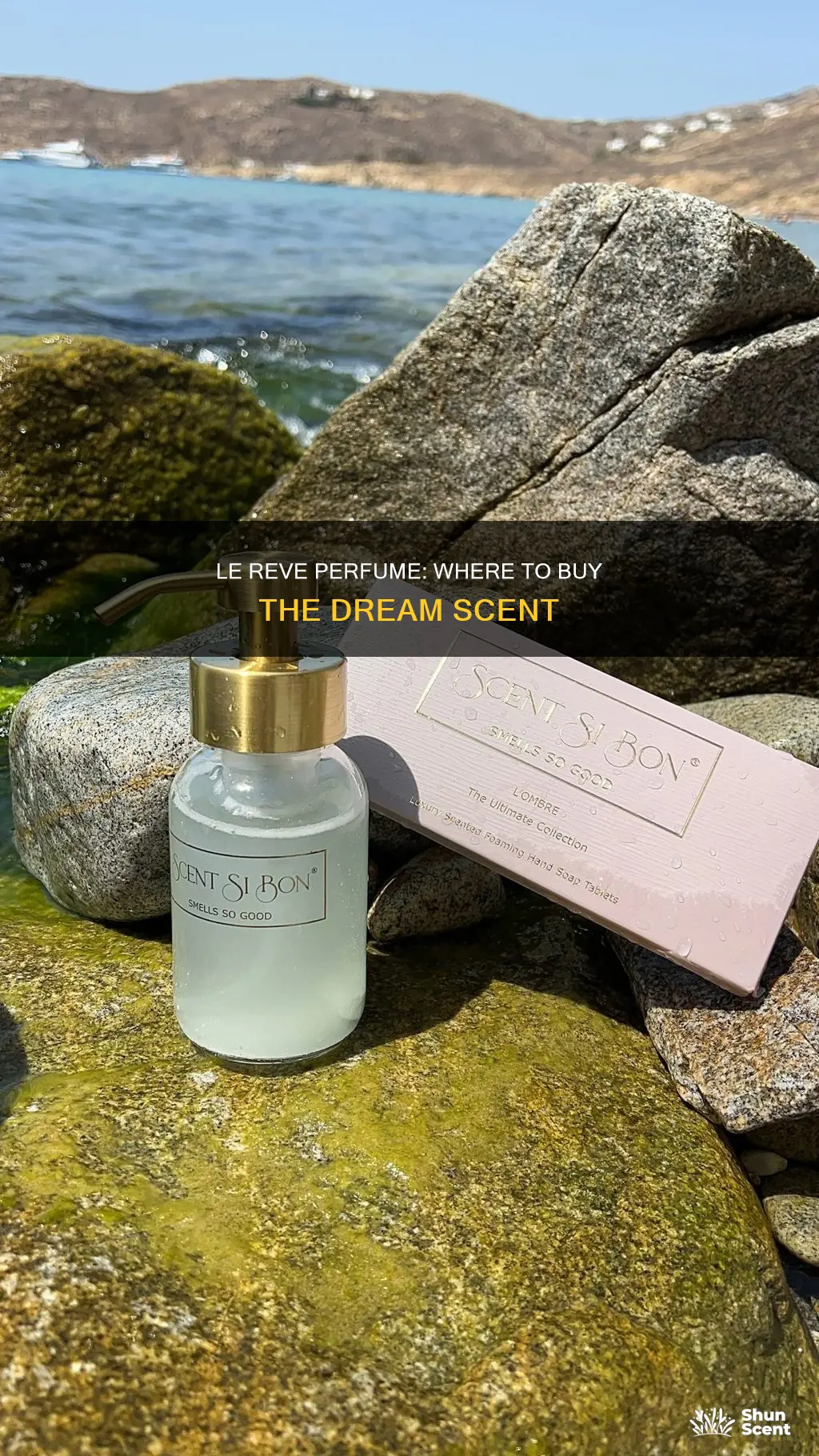where can i buy le reve perfume
