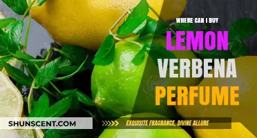 Top Stores to Buy Lemon Verbena Perfume