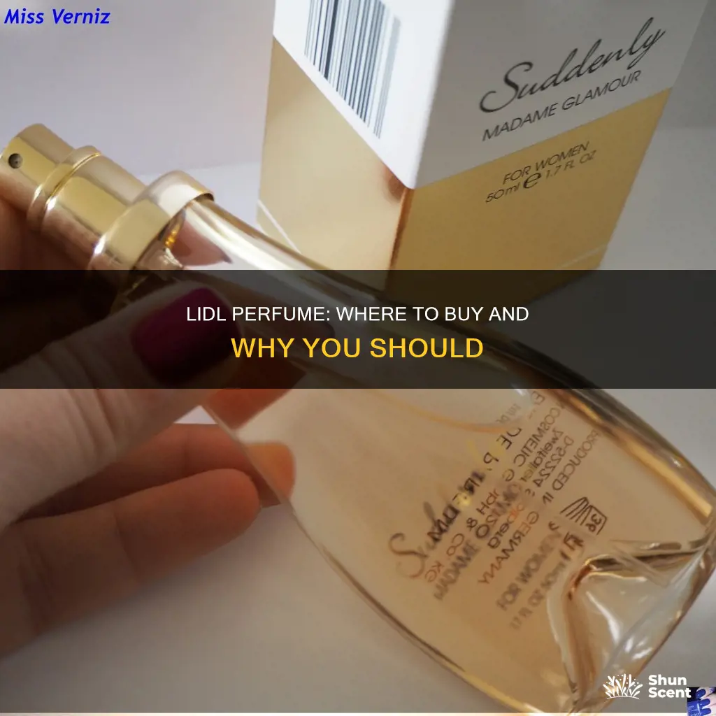 where can i buy lidl perfume