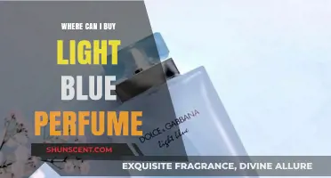 Light Blue Perfume: Where to Buy the Scent of Summer