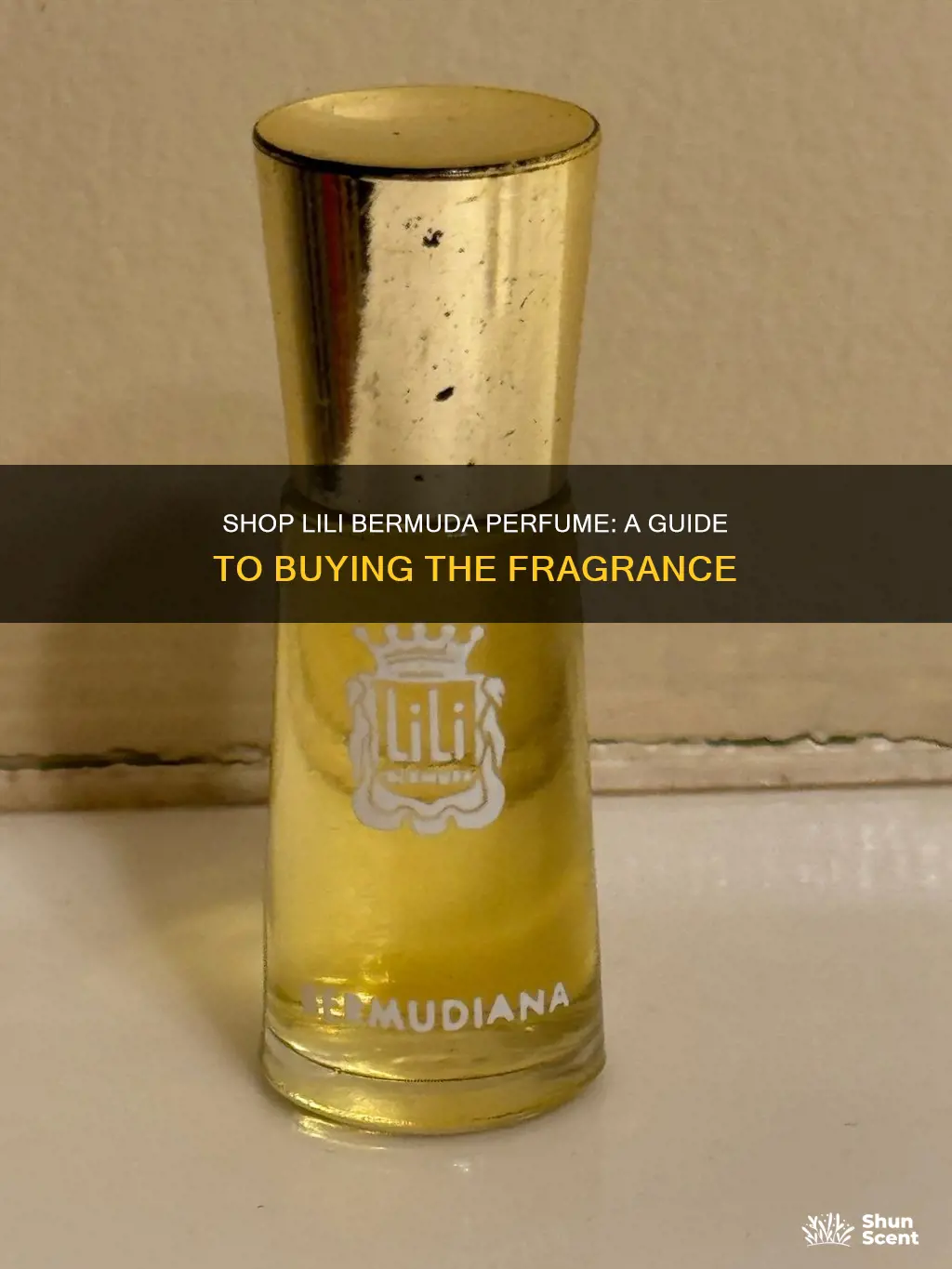 where can i buy lili bermuda perfume