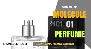 Molecule 01 Perfume: Where to Buy the Iconic Scent