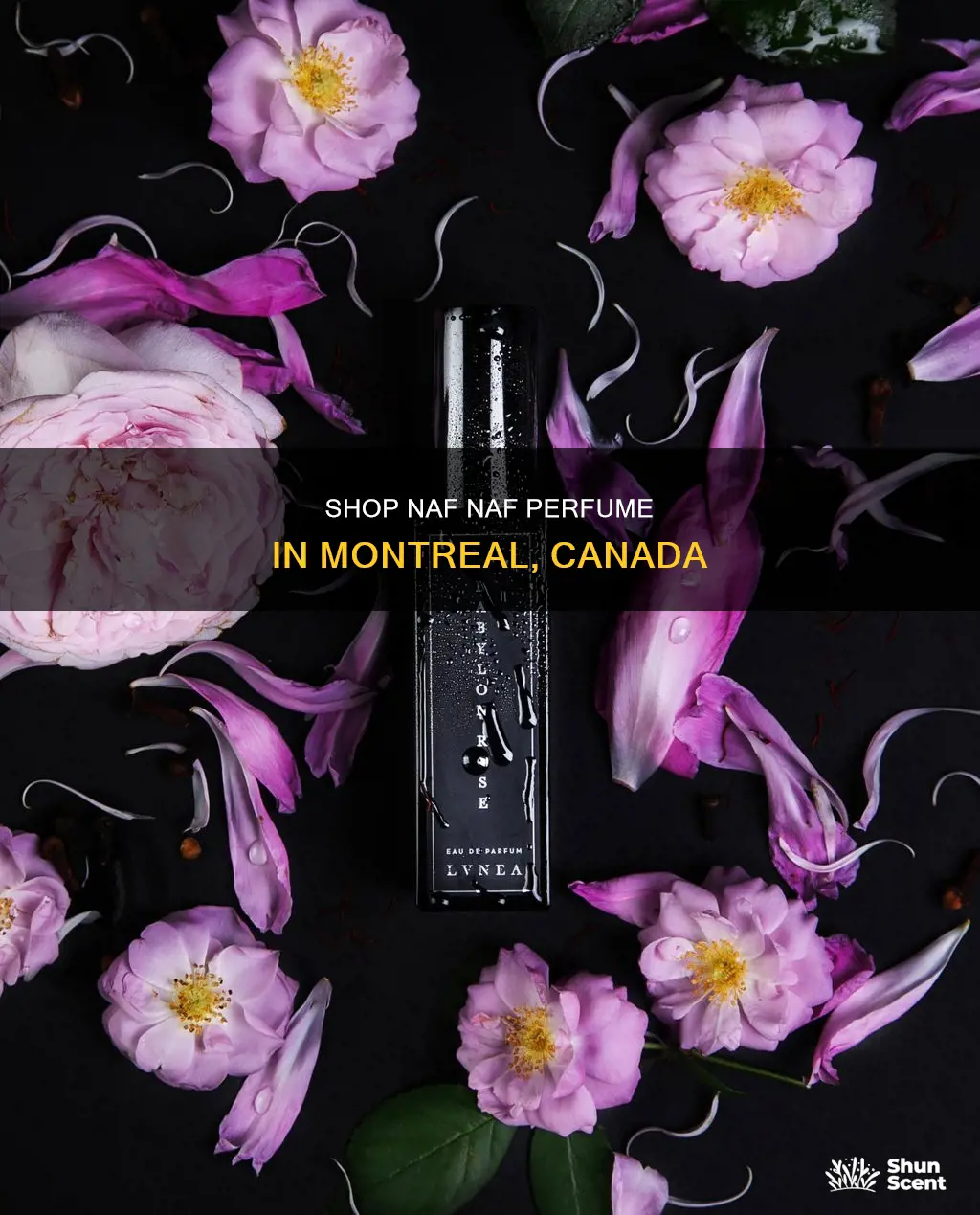 where can i buy naf naf perfume canada montreal