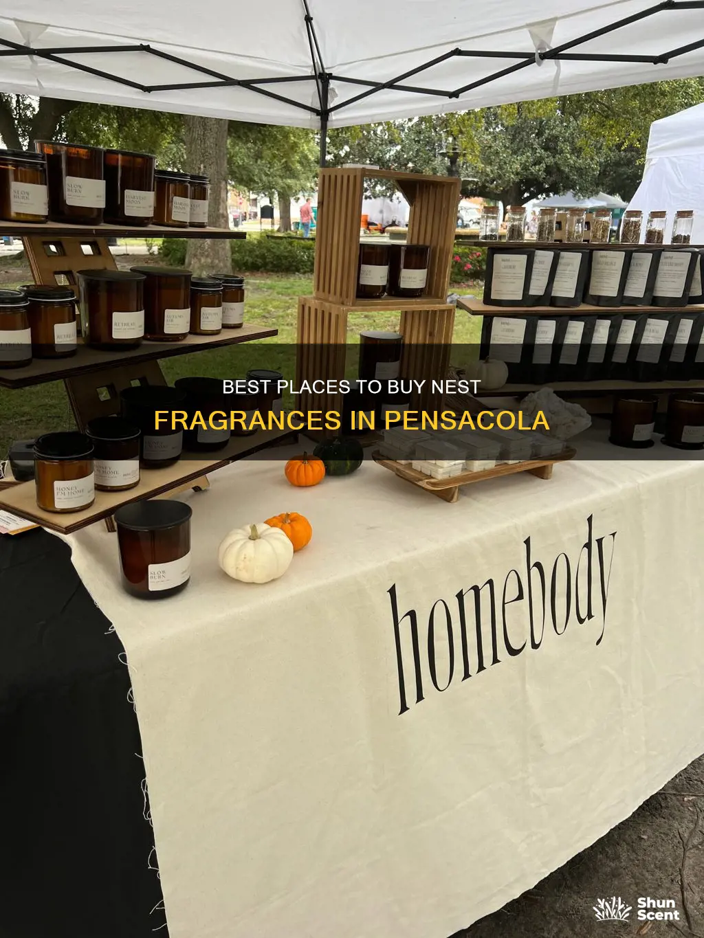 where can i buy nest fragrances in pensacola