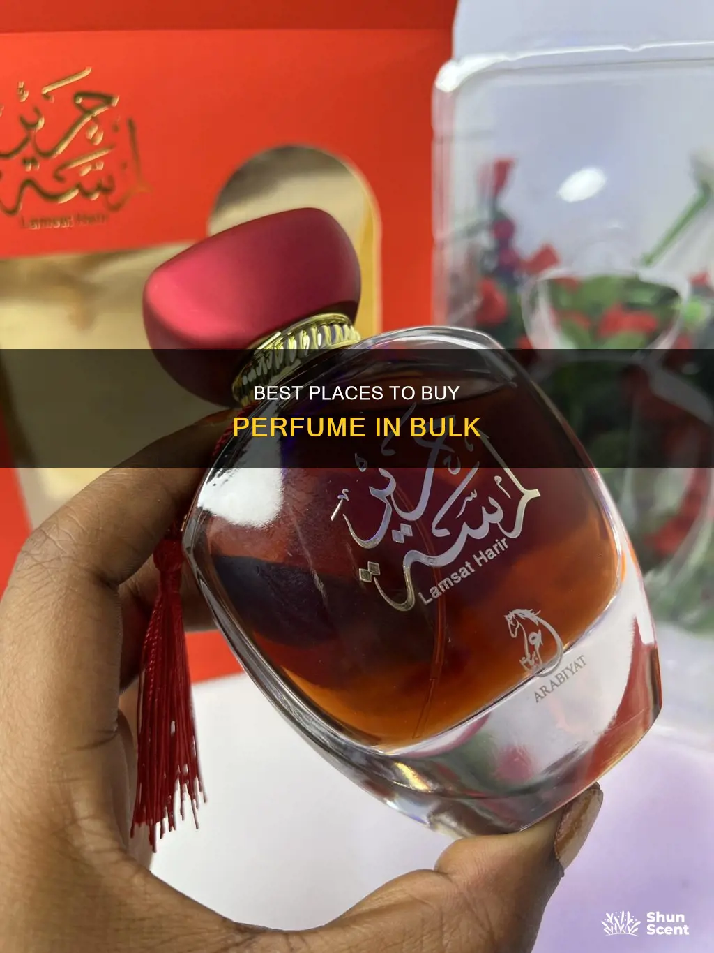 where can i buy perfume in bulk