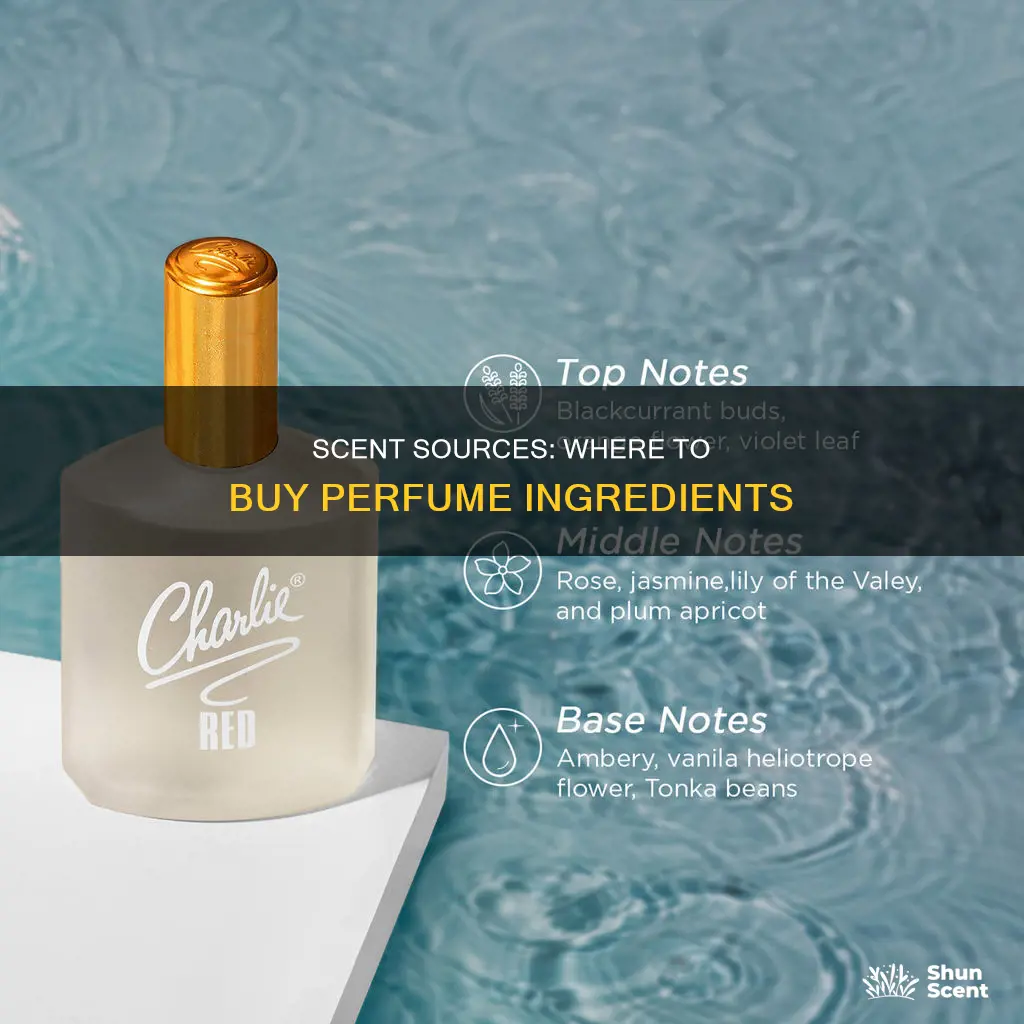 where can i buy perfume ingredients