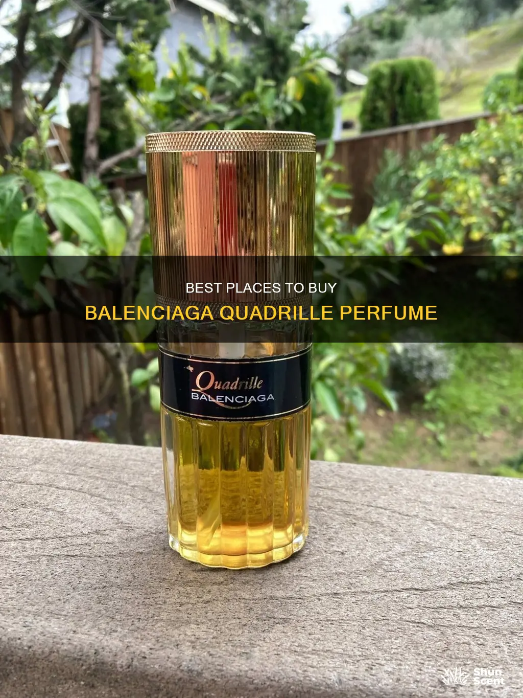 where can i buy perfume quadrille by balenciago