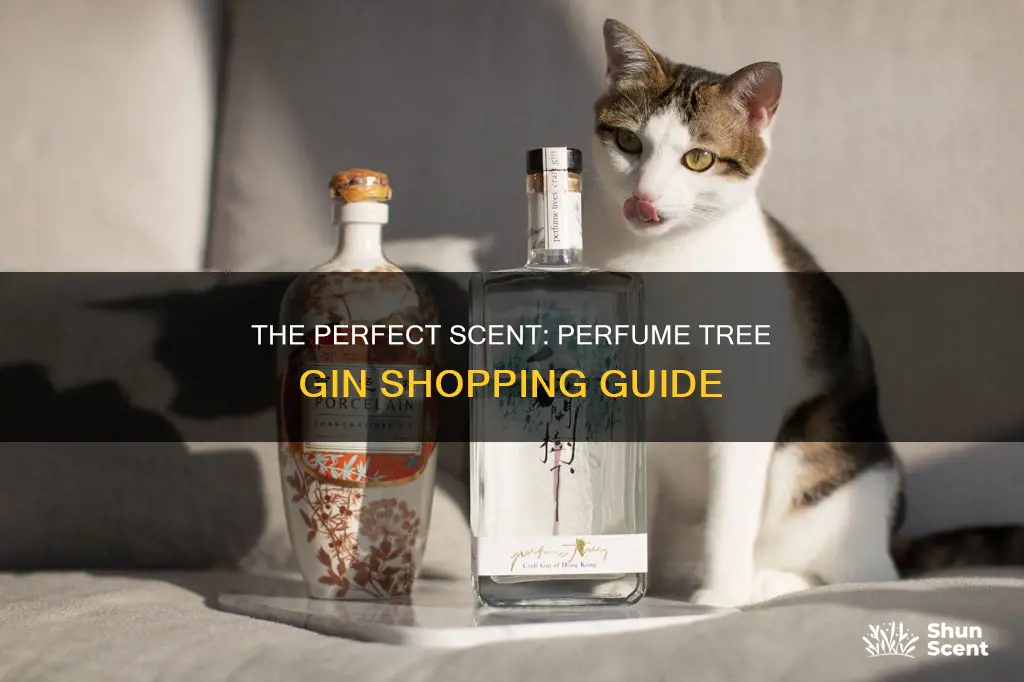 where can i buy perfume tree gin
