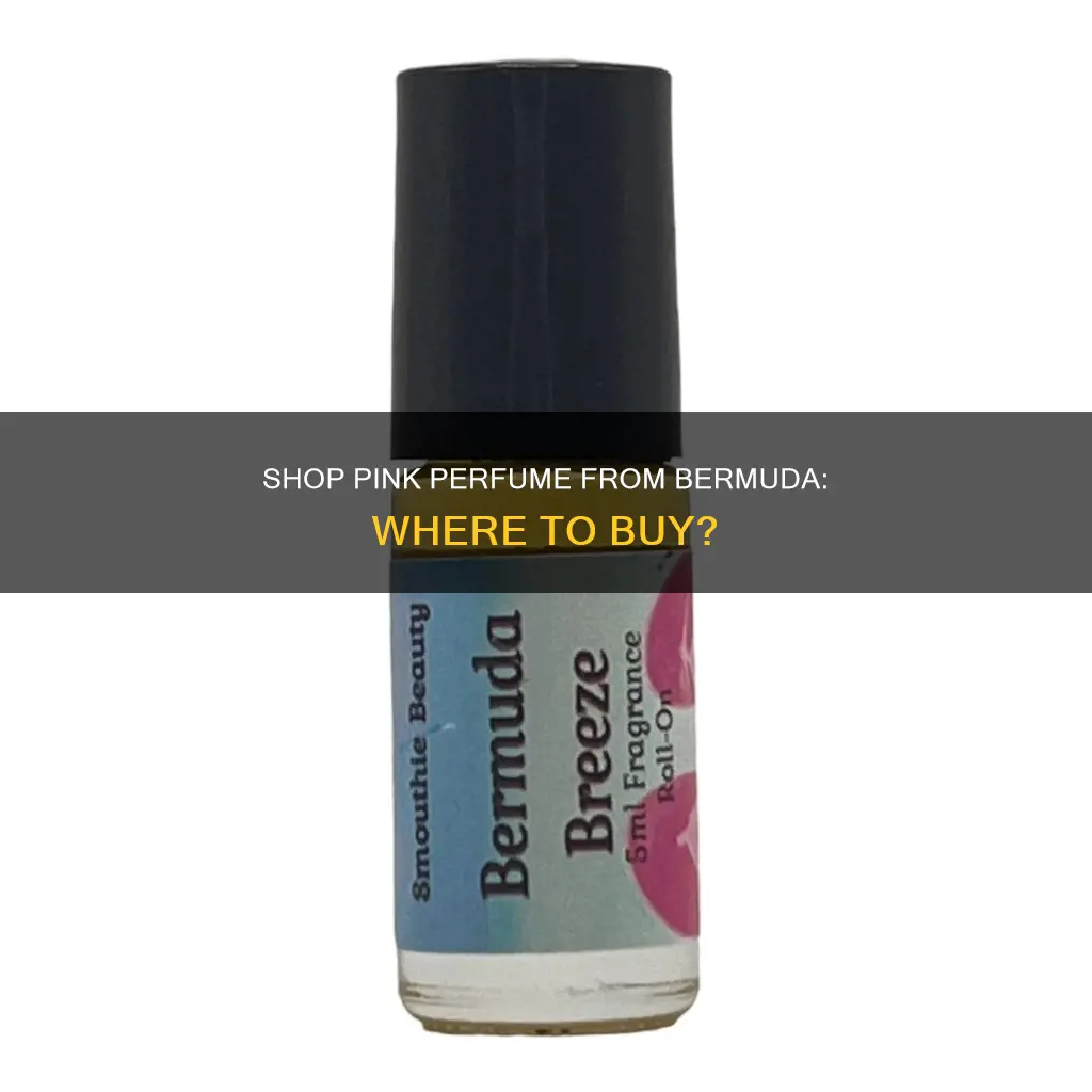 where can i buy pink perfume from bermuda