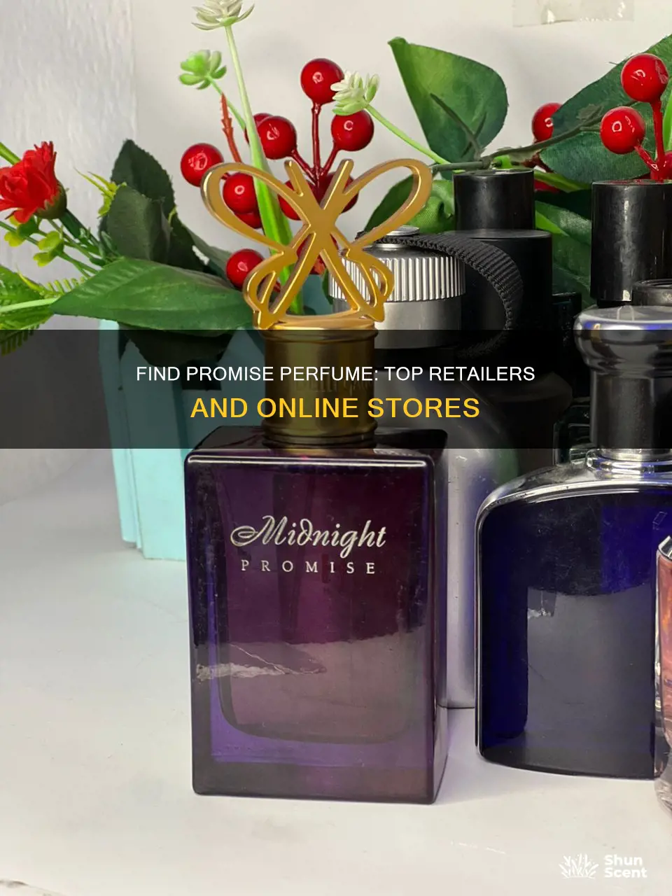 where can i buy promise perfume