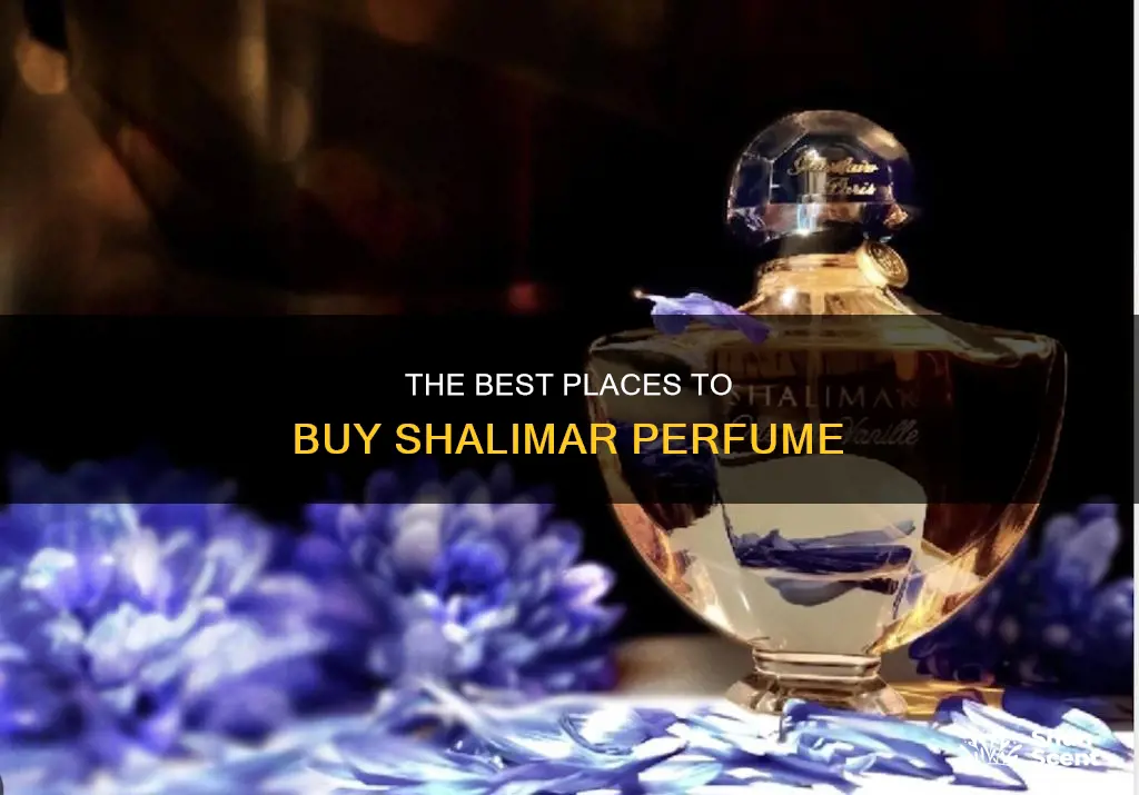 where can i buy shalimar perfume