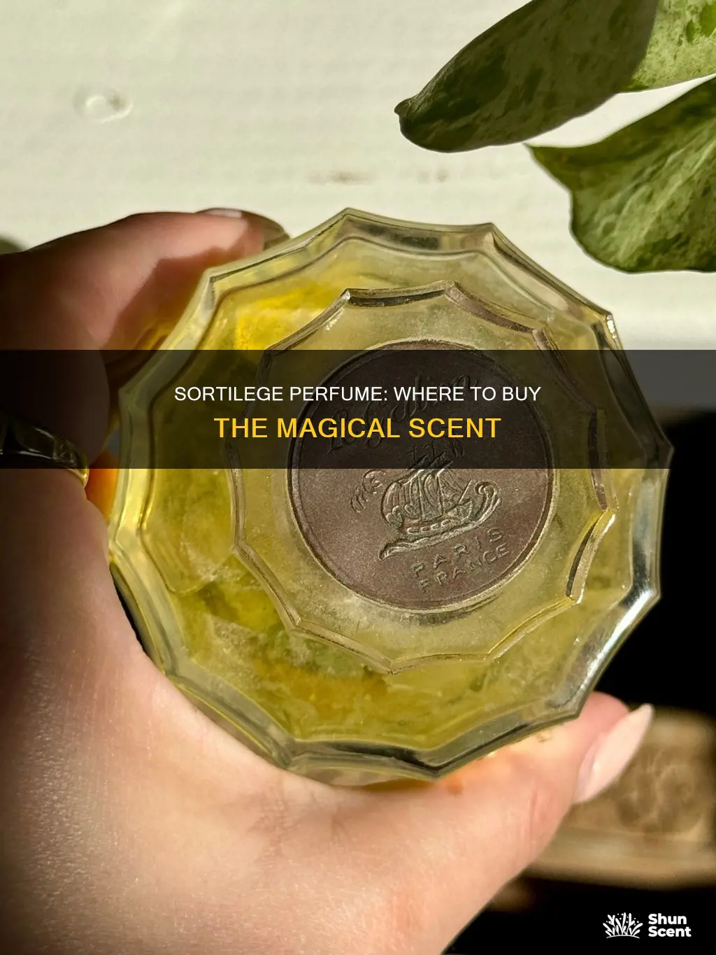 where can i buy sortilege perfume