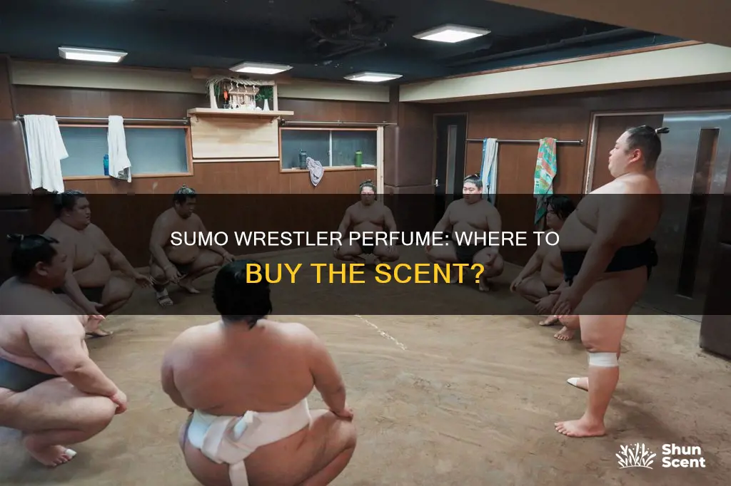 where can i buy sumo wrestler perfume