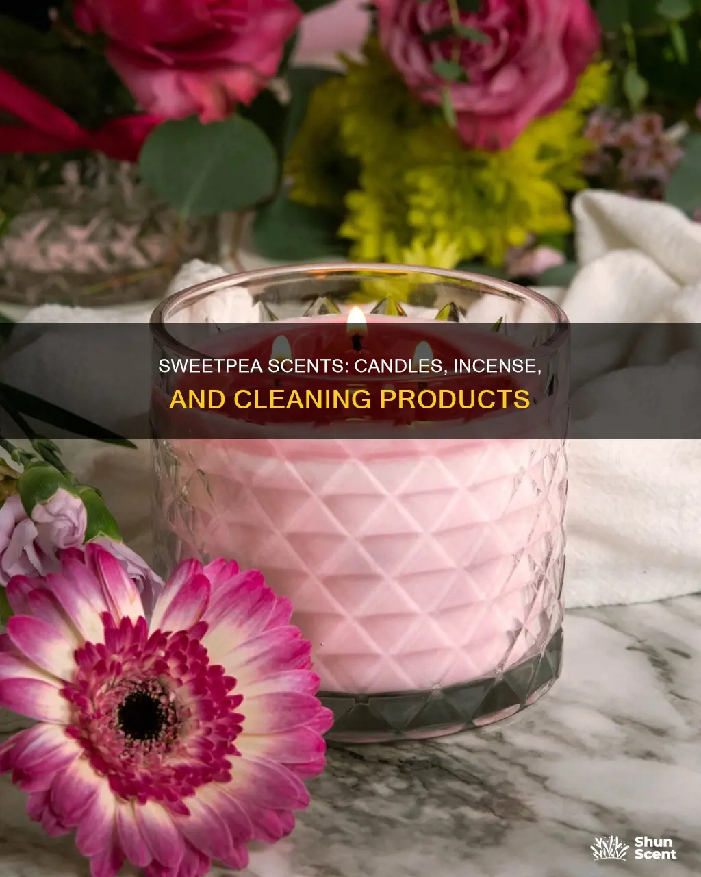 where can i buy sweetpea scented candles incense cleaning products